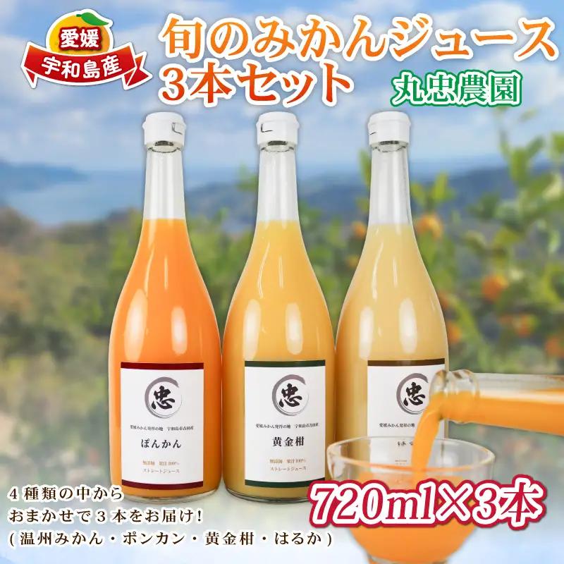 旬のみかんジュース 720ml × 3本 セット 丸忠農園 みかんジュース H012-210001