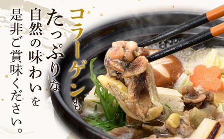 天然すっぽん鍋【1～2人前】