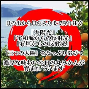 自然の恵み!「ガキ大将」3kg(大玉サイズ)日の丸みかん/2箱セット/ご家庭用【C79-12】【1452035】