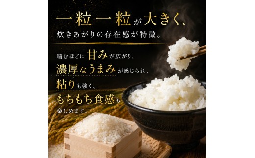 米 [定期便3回] ゆうだい21 ≪令和8年産≫ 10kg | 米 お米 白米 精米 おこめ コメ ライス お米10kg ゆうだい21 ゆうだい ごはん ご飯 米10kg 栃木米 栃木県産 国産 ブラ
