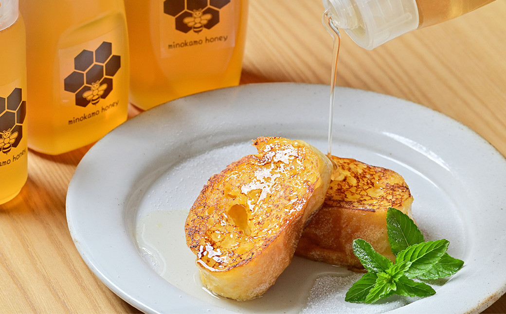 MINOKAMO HONEY はちみつ 3本（500g×3） 合計1500g