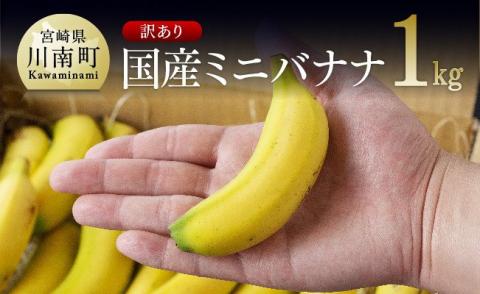 【訳あり】国産ミニバナナ1kg【国産 バナナ 無農薬 フルーツ 果物 デザート 朝食 スムージー 川南町】[F5801]