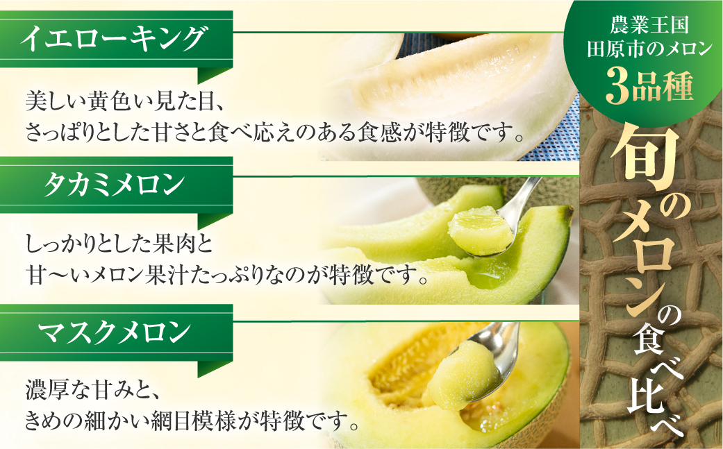 先行予約 渥美半島の恵み メロン 定期便 3回 ( イエローキング / タカミメロン / マスクメロン) 果物 旬 めろん 夏 夏季 食べ比べ 3種 人気 愛知県 田原市 39000円 頒布会