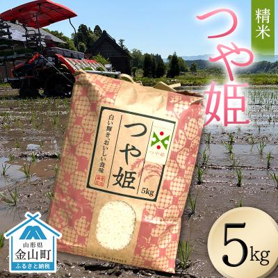 ふるさと納税 金山町 <先行予約>令和8年産【精米】つや姫マイスターの技を継承「つや姫」(5kg) F4B-0765
