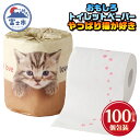 【ふるさと納税】 おもしろ トイレットペーパー やっぱり猫が好き ダブル 100ロール 個包装 再生紙100％ リサイクル 足跡 プリント 猫好き 大容量 日用品 日用雑貨 消耗品 備蓄 防災 静岡県 富士市 [sf001-100]