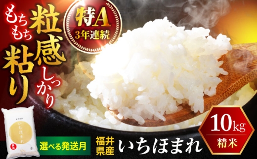 【12月発送】  福井県産 いちほまれ 精米 (白米) 10kg 福井自慢のブランド米 一等級　福井県米 / コシヒカリ発祥 ブランド 特A常連 小浜市 / 若狭ふれあい市場 [BFEL047]