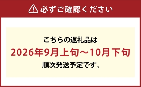 [HS]ぶどう 最高級品シャイン マスカット 晴王 2房 〈合計約1.2kg〉【2026年9月上旬～10月下旬発送】【ブドウ 葡萄  岡山県産 船穂産 フルーツ 果物 ギフト】