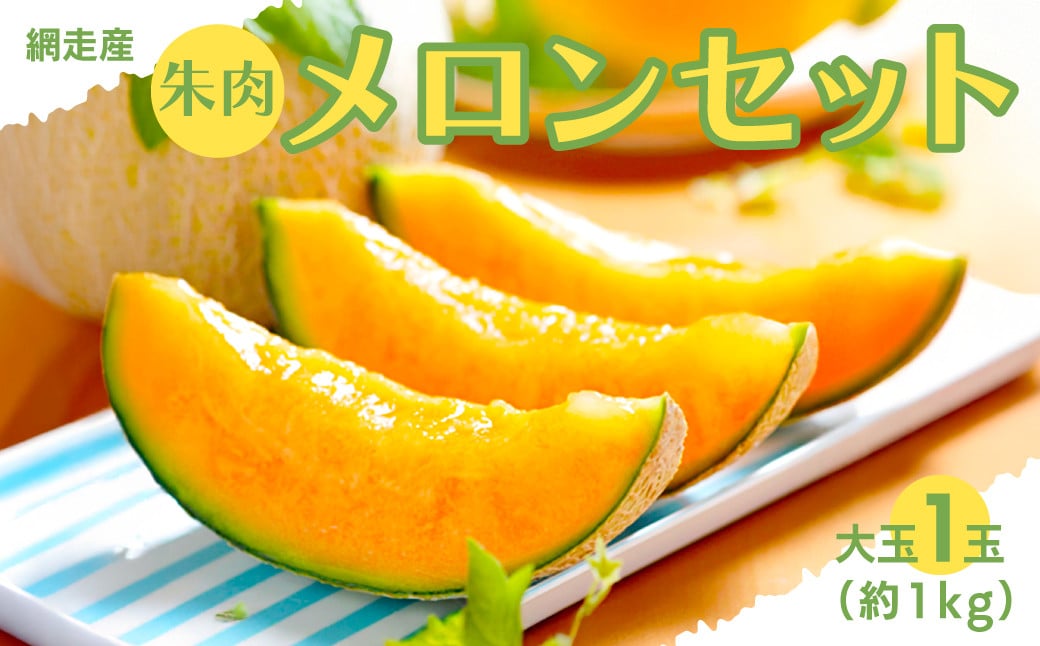 
            【期間・数量限定】甘くて美味しい 網走産朱肉メロン1玉＜早期予約＞＜網走産＞（2025年6月15日以降発送） 【 ふるさと納税 人気 おすすめ ランキング メロン めろん 朱肉 朱肉メロン 果物 フルーツ 甘い 糖度 ギフト 贈答 贈り物 プレゼント 網走産 オホーツク 北海道 網走市 送料無料 】 ABAO2028
          