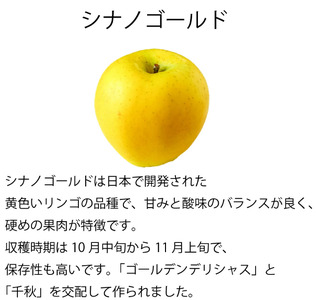 【贈答用】シナノゴールド　3㎏（9～12玉）| しなのごーるど シナノゴールド 林檎 りんご 長野県 松本市 果物 フルーツ ふるさと納税