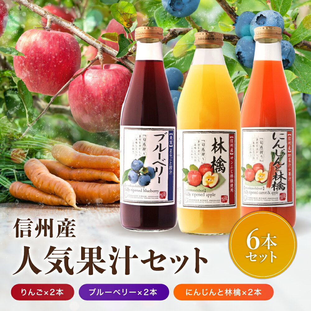 【ふるさと納税】人気 果汁 6本 セット すりおろしりんご×2本 信州産ブルーベリー×2本 人参とりんごジュース×2本 | 小池手造り農産加工所 りんご 人参 ブルーベリー 国産 手造り てづくり 健康 飲料 長野県 飯田市 CU7