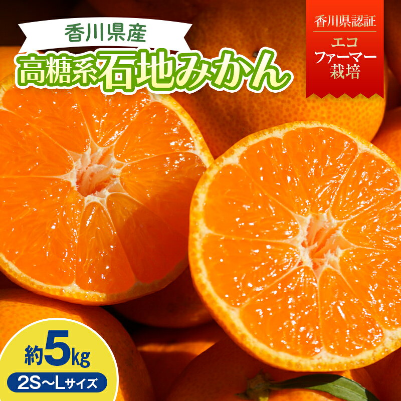 【ふるさと納税】2026年冬よりお届け 高糖系石地みかん 約5kg 果物類 柑橘類 フルーツ ギフト ジュース 果肉 みかん果汁 甘い 5キロ FAH-0173