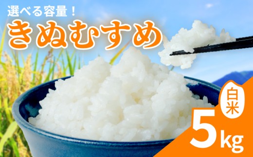 【 新米予約 】 新米 令和8年産 きぬむすめ 5kg 白米 米 R8 年産 キヌムスメ 2026年産 国産 農家直送 環境こだわり お試し用 単品 小分け 単品 お米 こめ おこめ ライス コメ 精米 おいしい 農家直送 産地直送 人気 おすすめ 5キロ ５ｋｇ kome okome kinumusume 2026年産 送料無料 滋賀県 日野町 [HF001_R8]