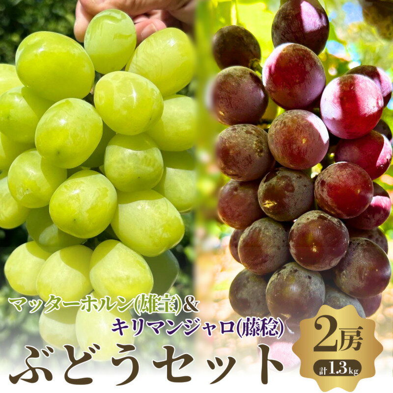 【ふるさと納税】おすすめ感謝 セット ぶどうセット マッターホルン キリマンジャロ 2房 詰め合わせ 葡萄 ぶどう ブドウ 食べ比べ フルーツ 果物 季節のフルーツ 季節の果物 旬のフルーツ 旬の果物 大阪 大阪府 岸和田市　お届け：2025年8月下旬～9月下旬まで