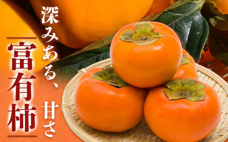 富有柿ギフト（紙箱）2Lサイズ9個※着日時は指定できません  | フルーツ 果物 くだもの 柿 かき カキ 奈良県  五條市