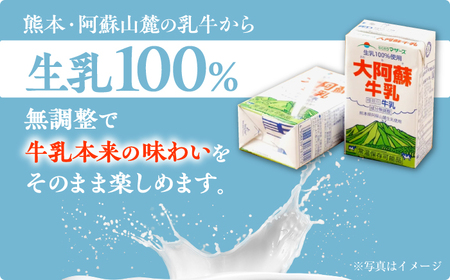 【全6回定期便】 大阿蘇牛乳 1000ml （6本入り） 牛乳 ミルク カルシウム 熊本県産 国産【合同会社 たべたせいか】[AYCB022]