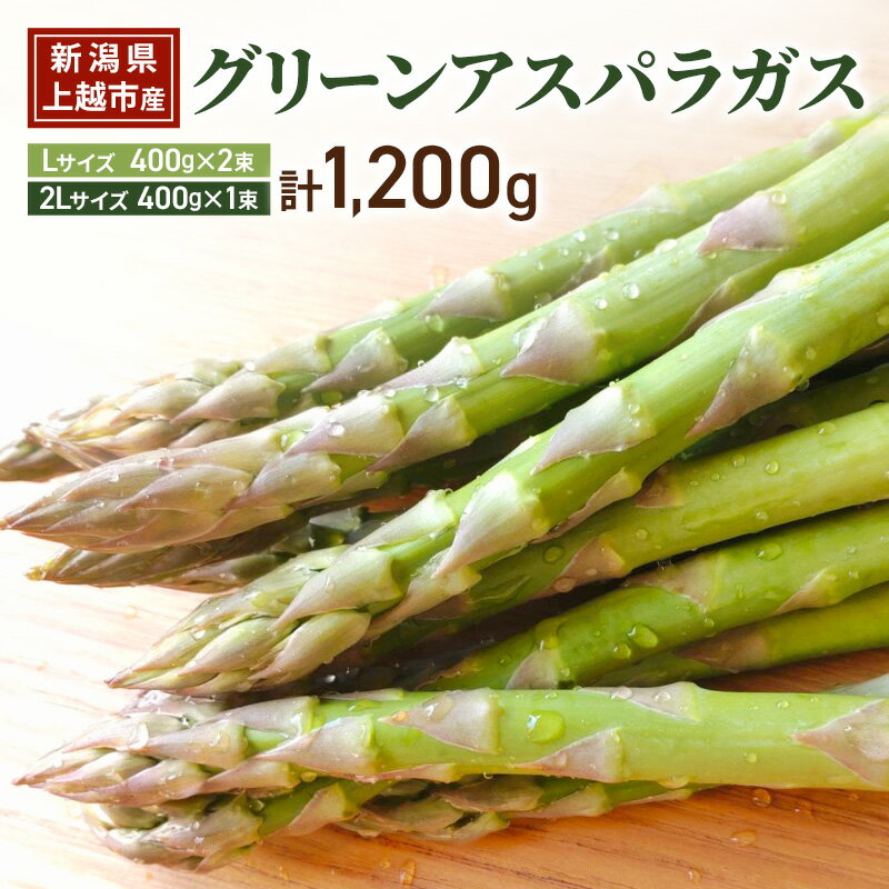 【ふるさと納税】グリーン アスパラガス Lサイズ 400g×2束｜2Lサイズ 400g×1束 計1.2kg 令和8年産 国産 産地直送 冷蔵配送 新潟県上越市産 横山農園 　お届け：2026年5月中旬～9月下旬まで