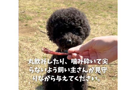 6-81 天然鹿の皮ガムと南アルプスの天然鹿肋骨の贅沢デンタルケアセット小型犬用 ALPDW013