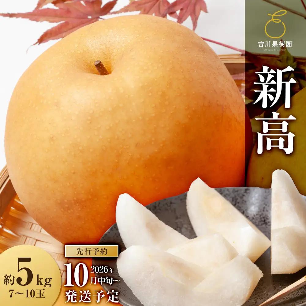 【2026年分】 梨 新高　約５kg（7～9玉）10月中旬～順次発送【吉川果樹園】 ｜ 梨
