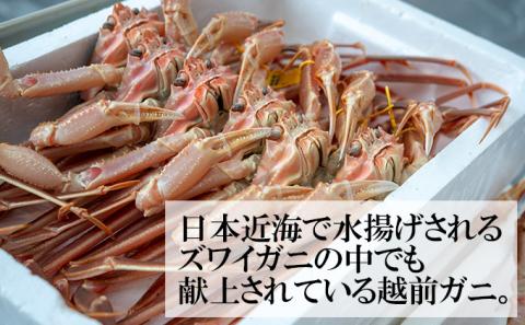 茹で越前ガニ【期間限定】食通もうなる本場の味をぜひ、ご堪能ください。越前ガニ 約900g＋セイコガニ3杯 越前がに 越前かに 越前カニ カニ ボイルガニ