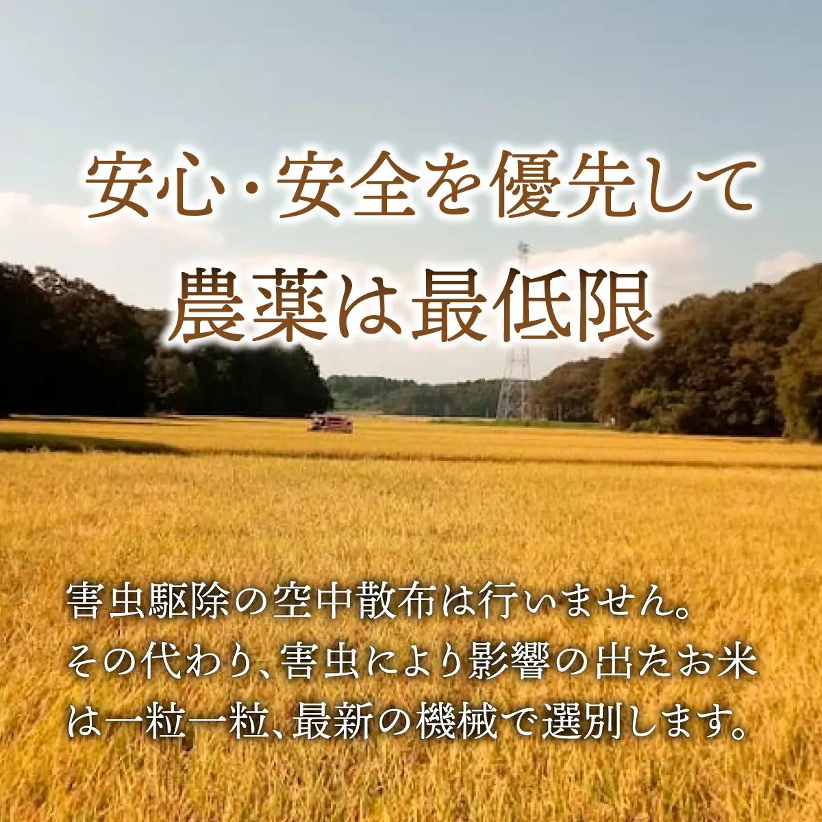 【12回定期便】 令和8年産 コシヒカリ 玄米 30kg | 新米 令和8年 お米 こしひかり