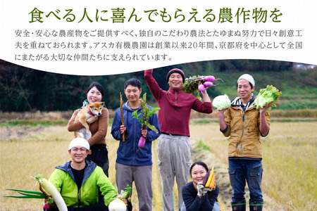 京都・京丹後 野菜セット【アスカ有機農園】旬の京丹後野菜セットS（栽培期間中　お試しサイズ・農薬・化学肥料不使用）＜京都 オーガニック アクション加盟＞京野菜セット・野菜 詰め合わせ・栽培期間中 無農