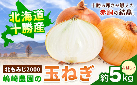 【先行予約】玉ねぎ たまねぎ 玉葱 選べる 約5kg サイズ混合《2026年10月上旬から11月中旬頃出荷》嶋崎農園 送料無料 北海道 本別町 北海道 十勝 本別町産 オニオン カレー サラダ スープ 野菜