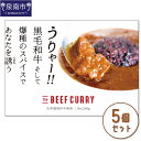 【ふるさと納税】うりゃー！ The BEEF CURRY 黒毛和牛すじカレー 5個セット カレー レトルトカレー