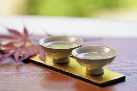 【人気の美酒】 豊盃 こぎん刺し模様（山田錦） 純米大吟醸 1,800ml（27-1）