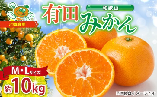 
                  【2026年先行予約】ご家庭用　和歌山 有田みかん 約10kg (M、Lサイズ)【湯浅町】_ZJ6088
                