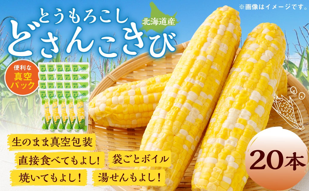 北海道産 とうもろこし 20本 どさんこきび 