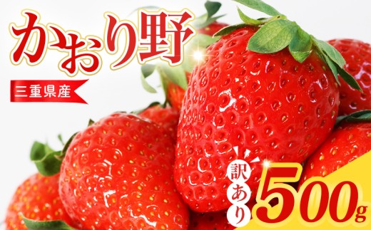 【訳あり】 いちご 500g かおり野 先行予約 苺 イチゴ ストロベリー サイズ不揃い フルーツ 果物 スムージー ヨーグルト 三重県産 ichigo strawberry 三重県 5000円 五千円 5000円以下 五千円以下 10000円以下 一万円以下