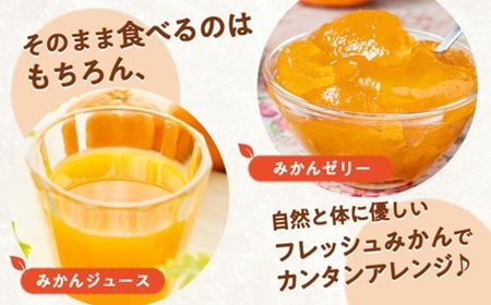 蜜柑 みかん 約 6kg 令和7年 12月発送 ないぜしぜん村 蜜柑 mikan みかん ミカン 内瀬 フルーツ 果物 甘い 濃厚 ジューシー 先行予約 予約受付 産地直送 国産 国内産 三重 南伊勢