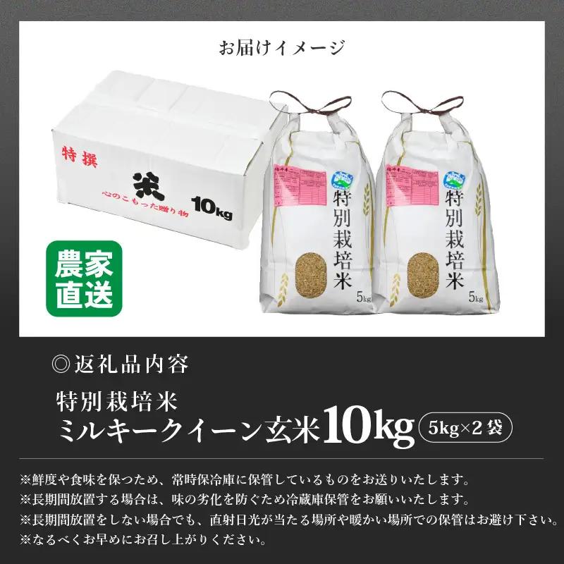 【先行予約】【令和8年産 新米】 ミルキークイーン 玄米 10kg （5kg×2袋） 特別栽培米 農薬不使用 化学肥料不使用 ／ 高品質 鮮度抜群 福井県産 ブランド米 ※2026年10月上旬以降順次