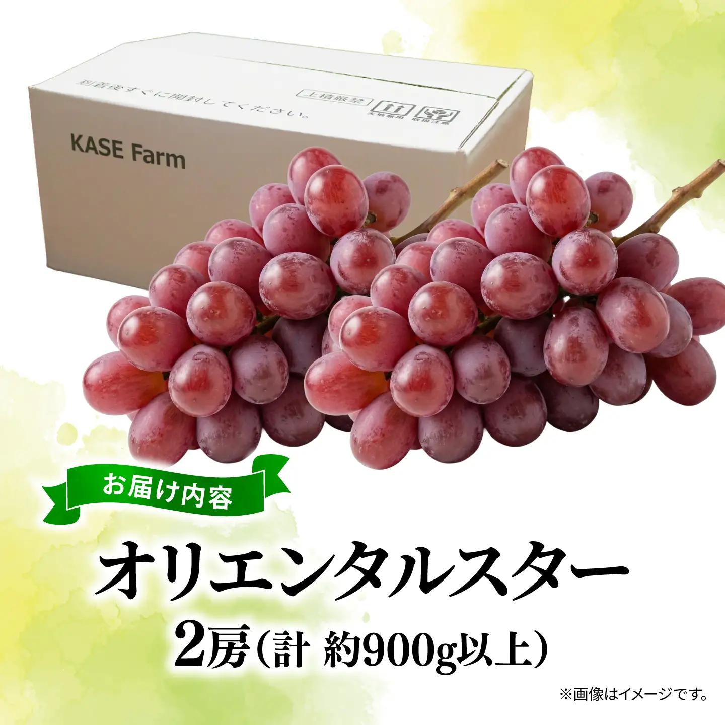 訳あり ぶどう オリエンタルスター 2房 900g 以上 数量限定 種なし ぶどう
