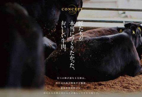 【6か月定期便】あがの姫牛コース 毎月違うお肉をお届け 計3.2kg 切り落とし 肩ロース しゃぶしゃぶ 焼肉 ヒレステーキ サーロインステーキ 1D23094