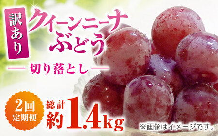 【先行予約】　【2回定期便】　訳あり クイーンニーナ ぶどう 切り落とし 約700g  【合同会社 社方園】[ZBZ044]