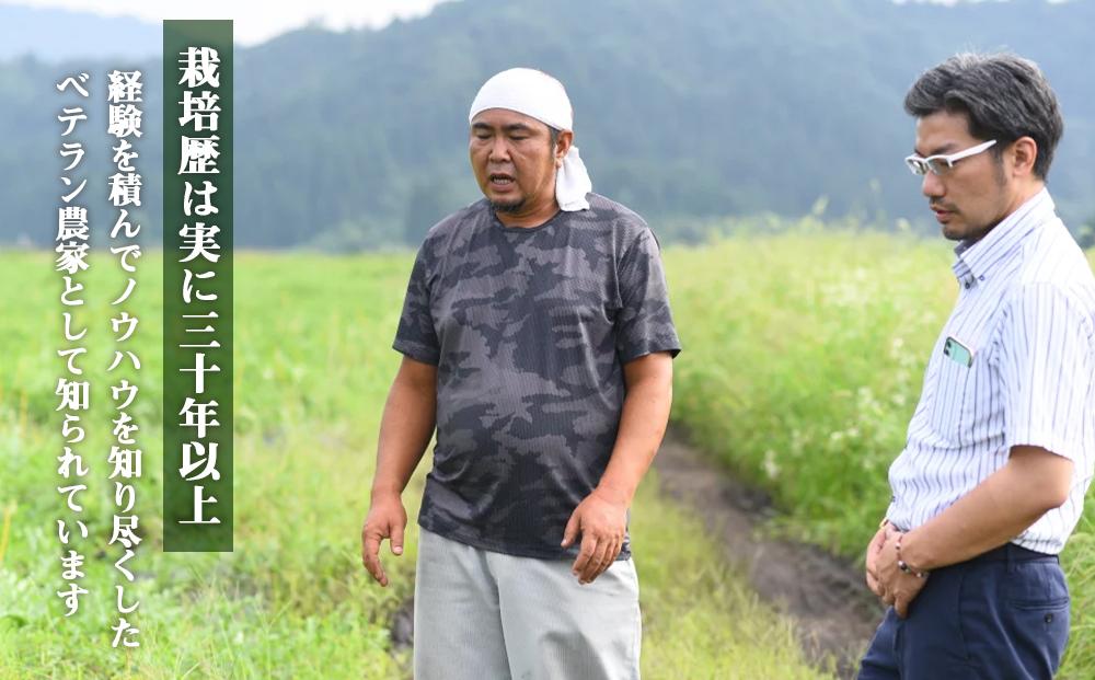 先行予約【高級】八色原すいか大玉１玉