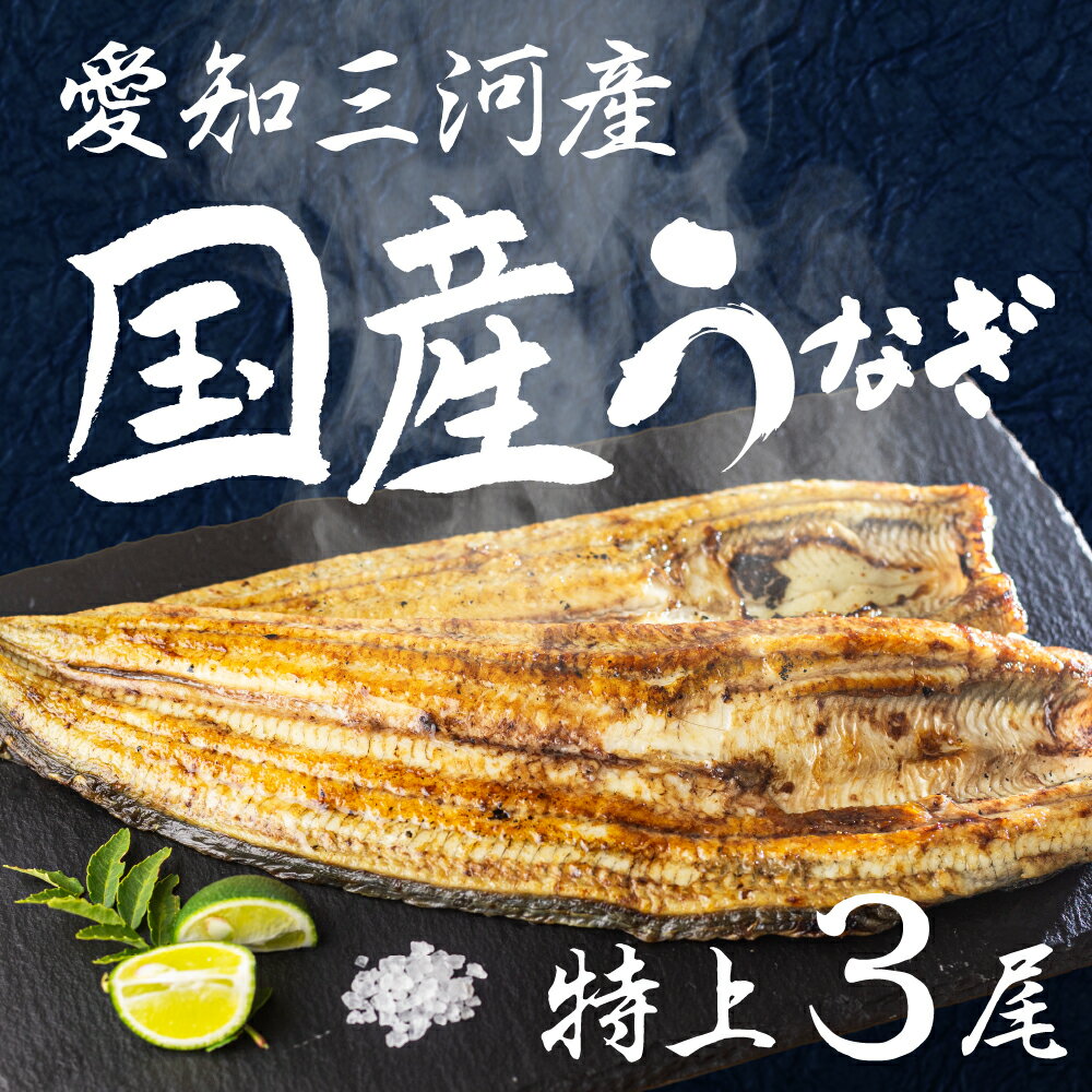 【ふるさと納税】愛知県三河産　うなぎ　白焼き 3尾　国産うなぎ 鰻 タレ付 セット 厳選 ウナギ かば焼き 丑の日 高級 贅沢 ご褒美 特産品 ふっくら お取り寄せ うな重 うな丼 ひつまぶし 冷凍 誕生日 お祝い 内祝い お中元 お歳暮 愛知県 豊橋市