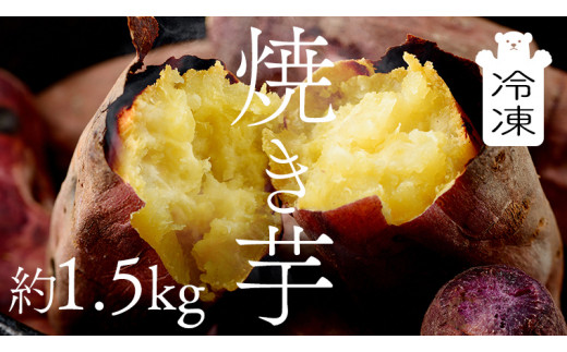 
茨城県産 冷凍 焼き芋 約1.5kg イモ いも さつま芋 サツマイモ さつまいも お菓子 スイーツ [CO001ci]
