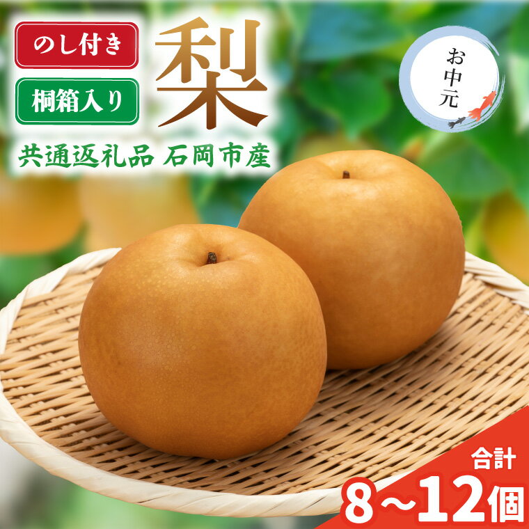 【ふるさと納税】【のし付き】お中元　梨　化粧箱(8〜12個)【配送不可地域：離島・沖縄県】 (BR152)