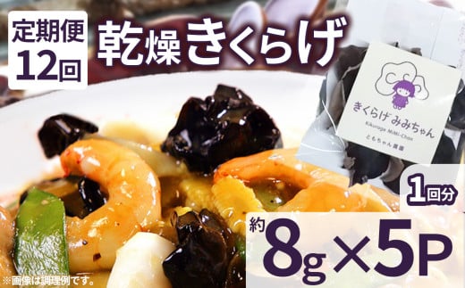 【定期便12回】乾燥きくらげ 8g×5P ともちゃん農園|定期便 乾燥きくらげ きくらげ 贈答用 乾燥 きくらげ 食物繊維 鉄分 カルシウム ビタミンD カリウム アミノ酸  高血圧予防 ふるさと 納税 栃木県 那珂川町 送料無料