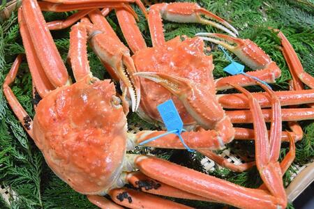 【ふるなびWEEK対象】【訳あり】金沢港 直送！サイズおまかせ ボイル 加能ガニ 2杯セット   ズワイガニ ずわい ズワイ蟹 蟹 カニ 冷蔵 人気 おすすめ 期間限定 FN-Limited