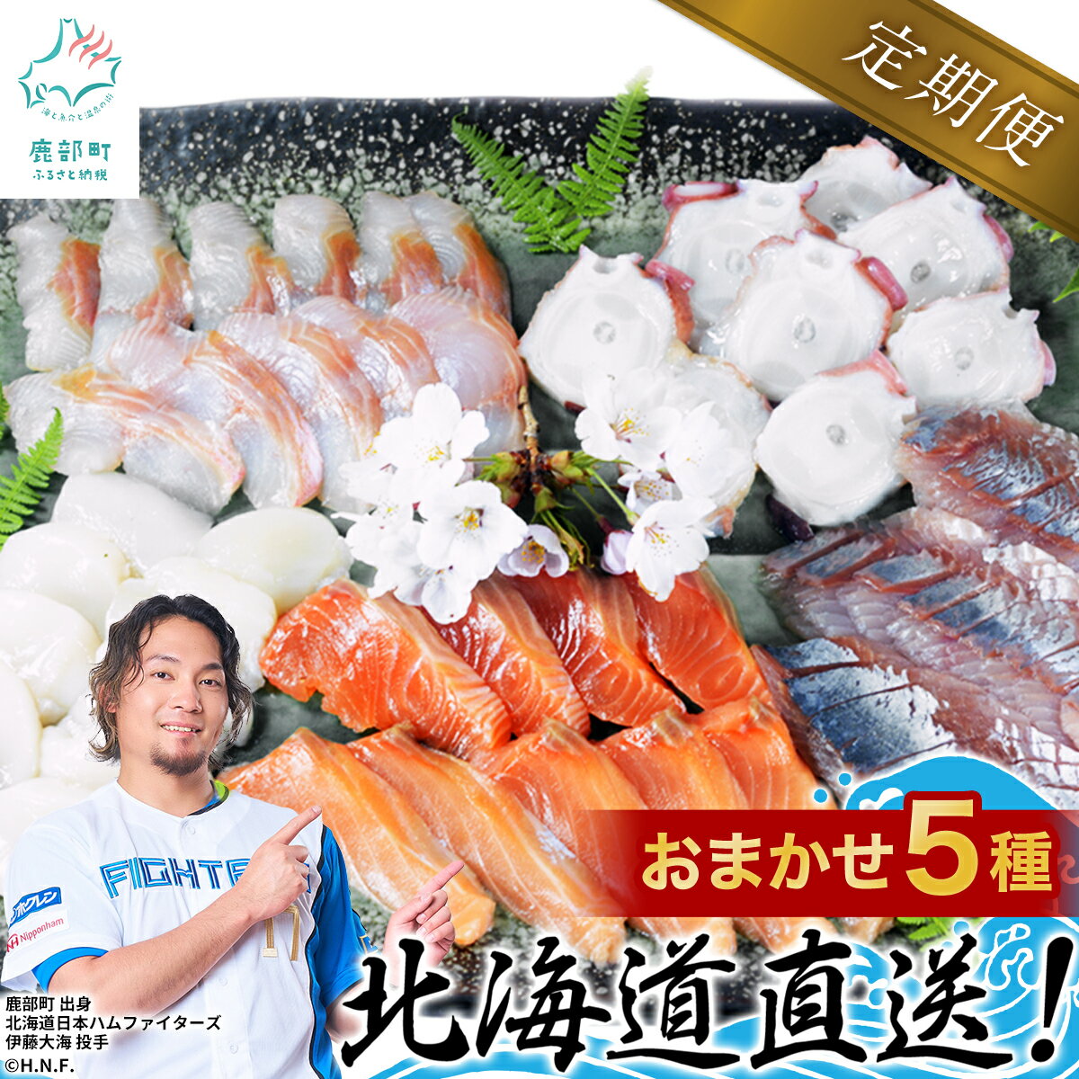 【ふるさと納税】 定期便 刺身 旬のお刺身5種盛り合わせセット 4回 約 500g 約4〜5人前 北海道 魚 さけ ます いか ほたて たこ ほっけ つぶ ニシン 旬 お中元 海鮮 魚介類 冷凍 盛り合わせ おまかせ お楽しみ おつまみ おかず ご飯のお供 送料無料