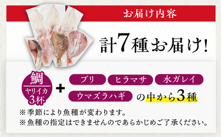 漁師の塩こうじ漬け 5種【ひかり水産】[KAA051]/ 長崎 平戸 魚介類 魚 塩こうじ 漬け 鯛 タイ イカ ヤリイカ ブリ ヒラマサ カレイ ハギ