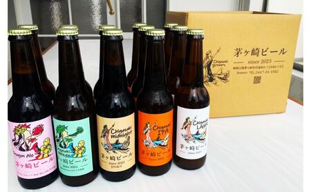 ビール 茅ヶ崎 アソート 12本セット クラフトビール ビール