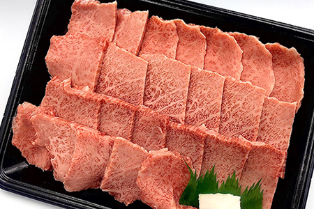 菊の井 飛騨牛トモサンカク焼肉 500g（4～5人前）希少 牛肉 ブランド牛 国産 ともさんかく【70-6】【冷凍】