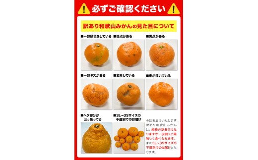 訳あり みかん (3S～3L) 約1.5kg《10月上旬‐12月下旬頃に発送(土日祝を除く)》和歌山県 日高町 果物 フルーツ 訳あり みかん 家庭用 お試し 大容量 送料無料