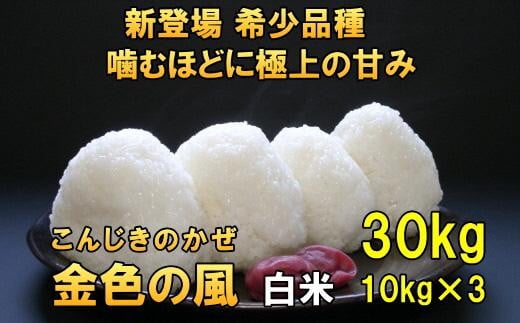 【白米10kgx3袋】新登場の高級米　令和6年産  岩手県奥州市産 金色の風 30kg（10kg×3）【７日以内発送】 おこめ ごはん ブランド米 精米 白米