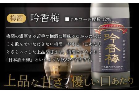 福井県産梅を使用した梅酒　吟香梅(720ml×2本) [A-008063]