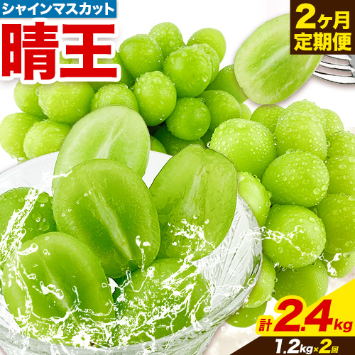 ぶどう 2ヶ月 定期便 [2026年先行予約] シャインマスカット 晴王 約1.2kg 岡山県産《9月上旬-1０月末頃出荷(土日祝除く)》 ハレノフルーツ マスカット 送料無料 岡山県 浅口市 フルーツ 果物 贈り物 ギフト 国産 岡山県産 くだもの【配送不可地域あり】